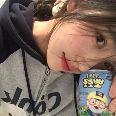 猫头鹰与小飞象