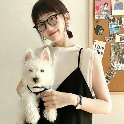超狗任务
